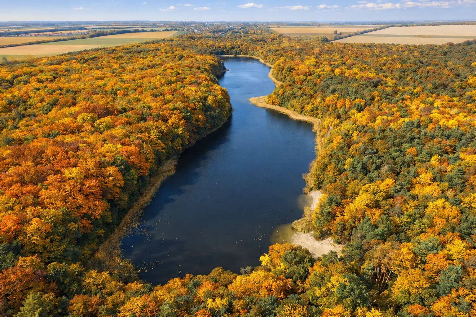 Wielkopolski Park Narodowy z leśną ścieżką, wysokimi drzewami i spokojnym krajobrazem przyrodniczym.