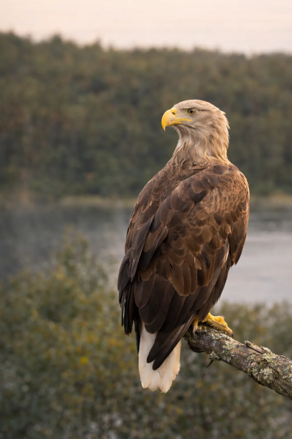 Park Narodowy Bory Tucholskie – przewodnik dla miłośników natury i aktywnego wypoczynku
