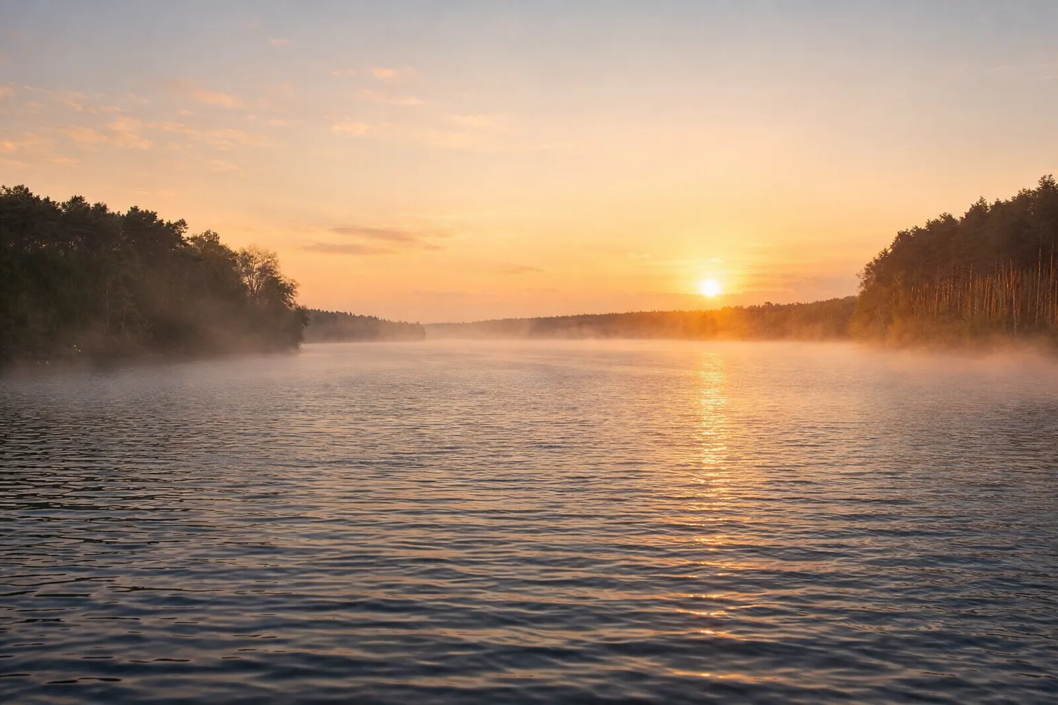 Park narodowy bory tucholskie