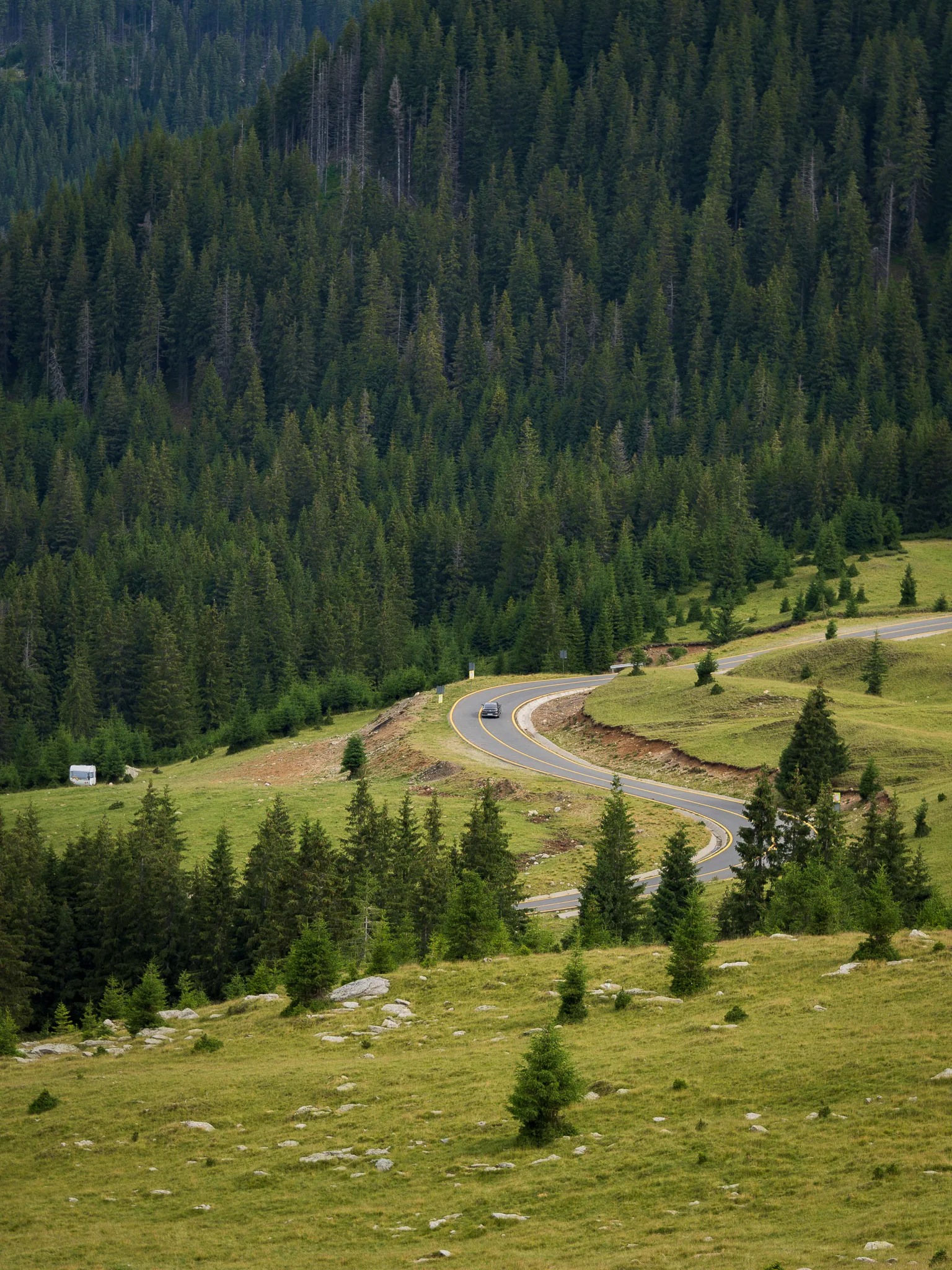 Wijąca się Trasa Transalpina w Rumuniiprowadząca przez górskie łąki i lasy w południowej Rumunii.