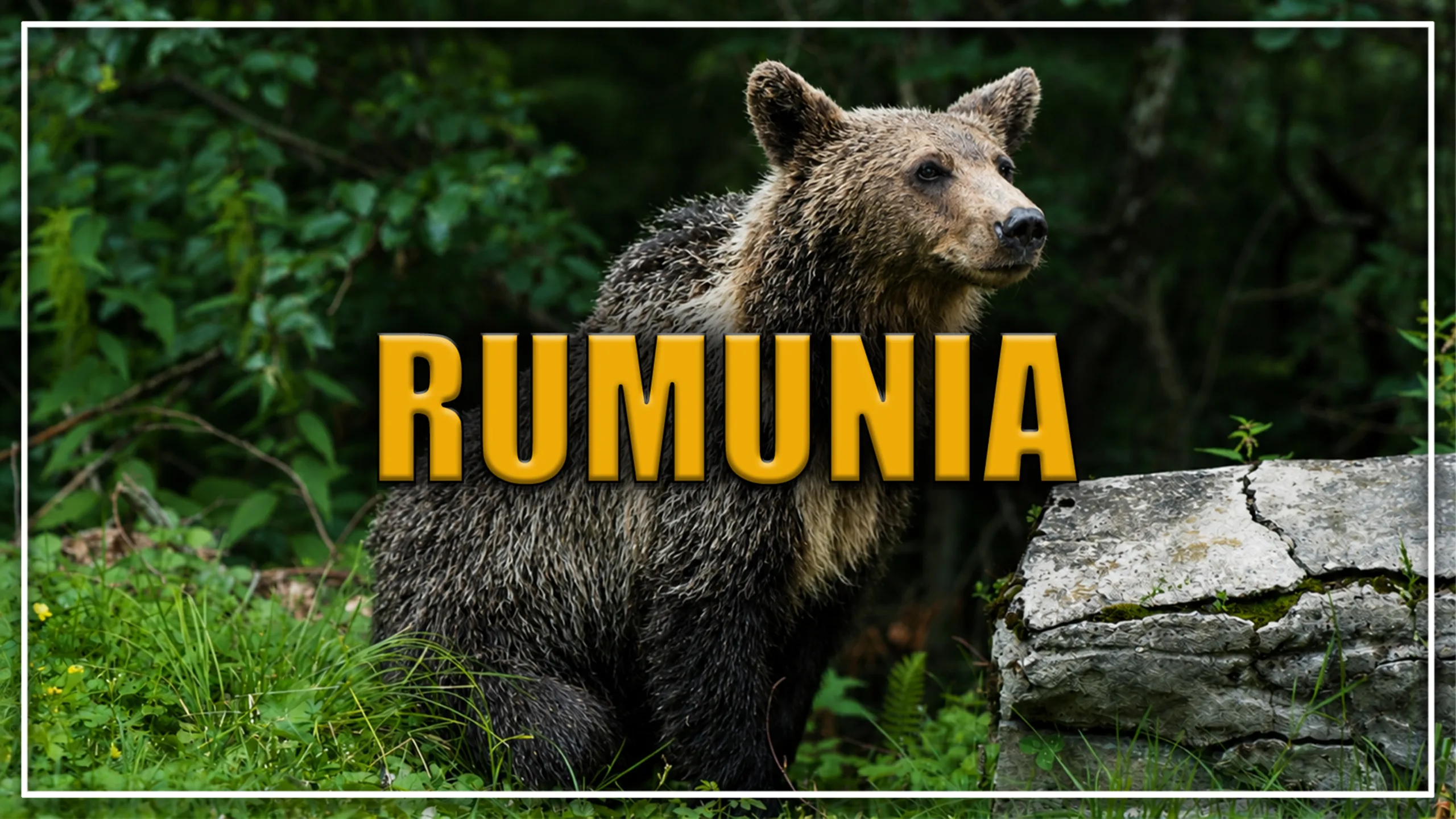 Rumunia – co zobaczyć i atrakcje